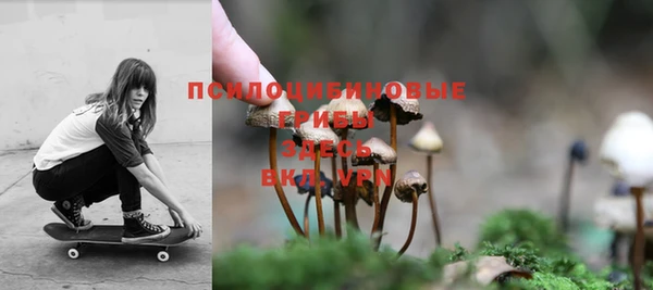 mdpv Алзамай