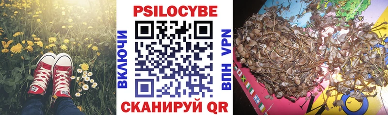 Псилоцибиновые грибы Cubensis  Курган 